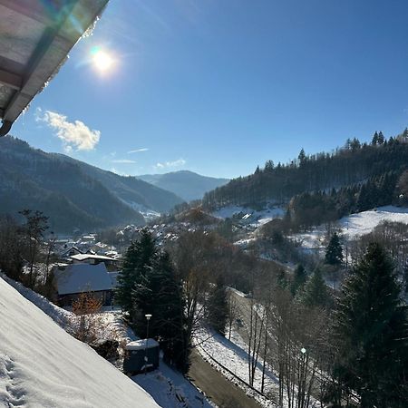 Bollenlodge - Ferienwohnung Mit Ausblick Und Top Lage ทอดท์เนา ภายนอก รูปภาพ