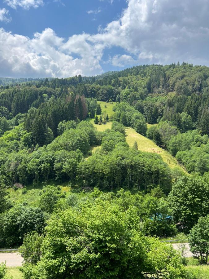 Bollenlodge - Ferienwohnung Mit Ausblick Und Top Lage ทอดท์เนา ภายนอก รูปภาพ