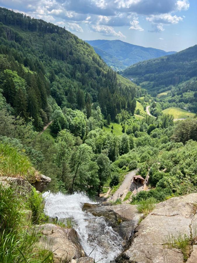 Bollenlodge - Ferienwohnung Mit Ausblick Und Top Lage ทอดท์เนา ภายนอก รูปภาพ